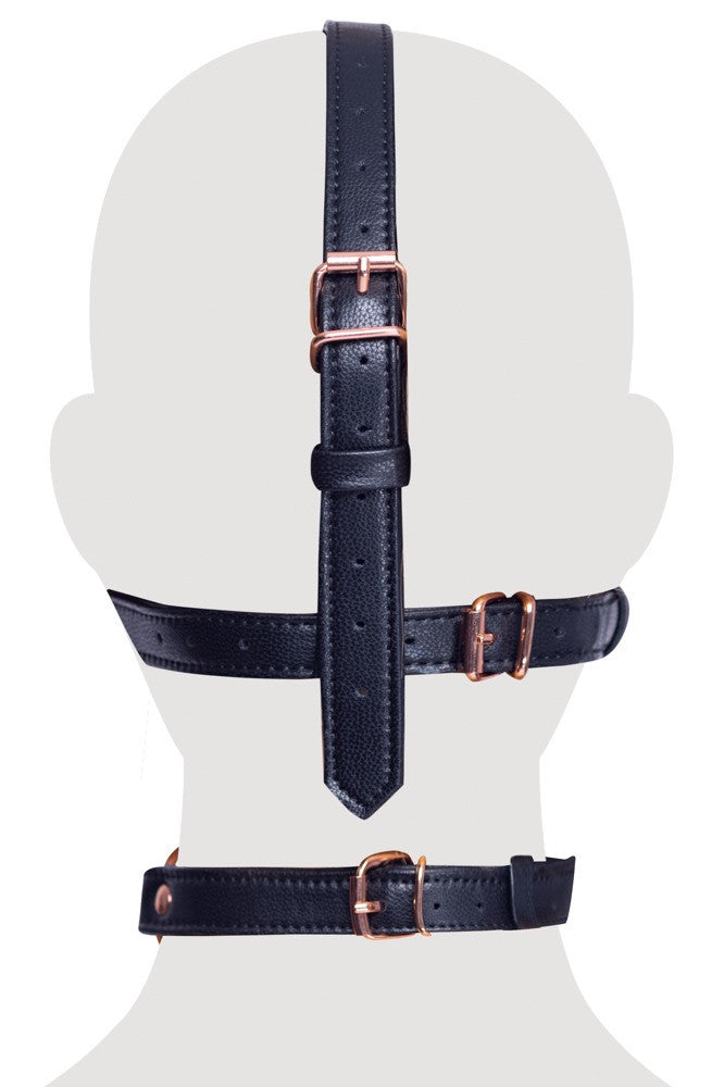 Imbracatura per il viso head harness with a gag