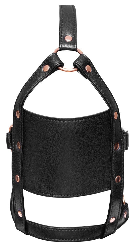 Imbracatura per il viso head harness with a gag