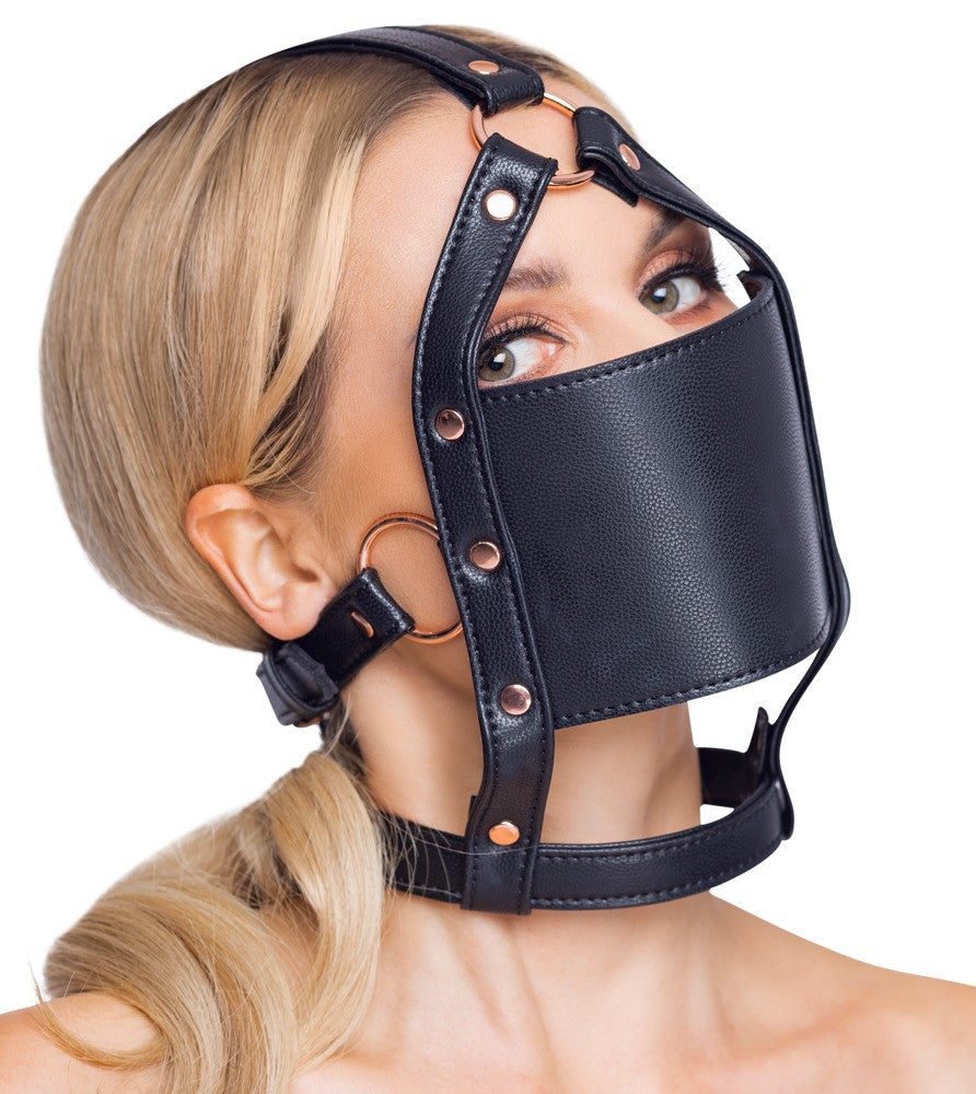 Imbracatura per il viso head harness with a gag