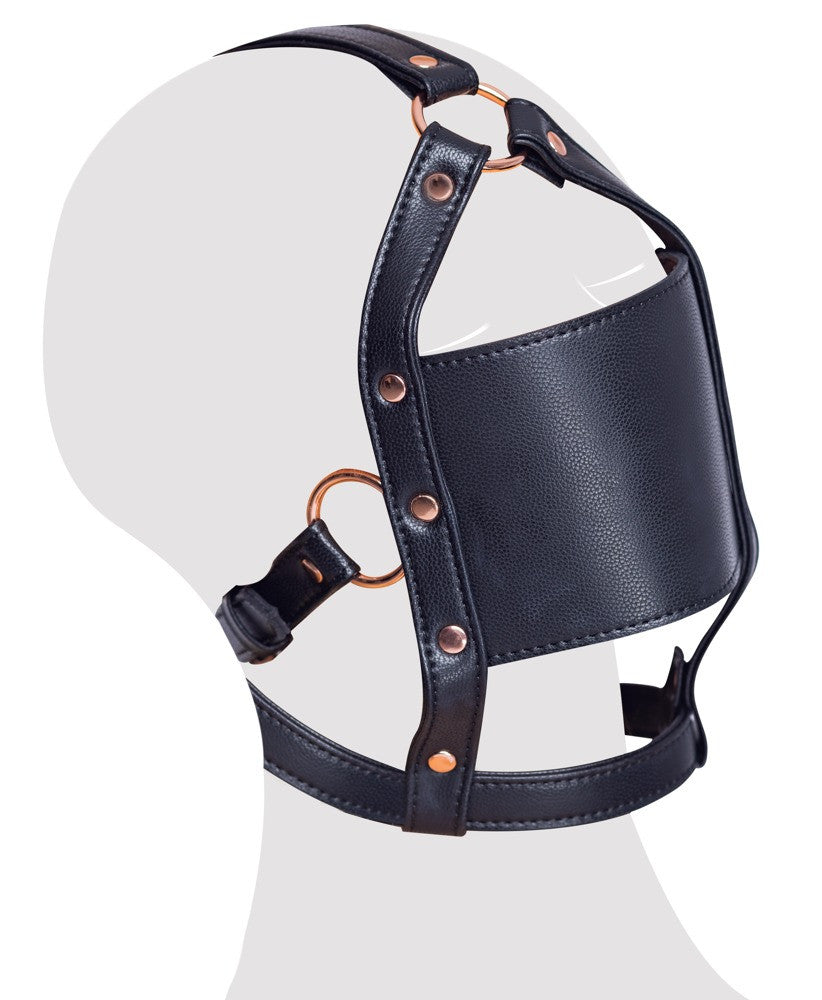 Imbracatura per il viso head harness with a gag