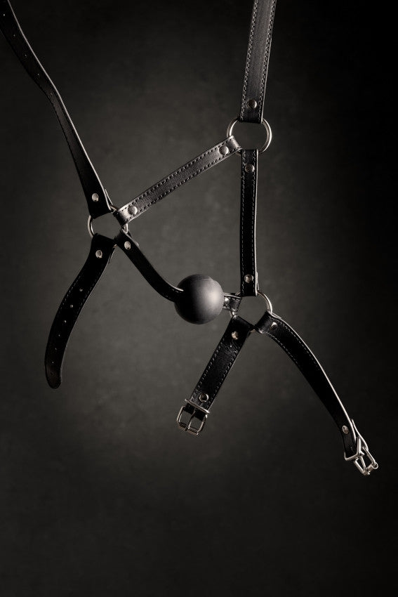 Imbracatura viso con morso Head Harness with Solid Ball Gag Black